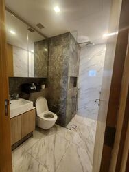 The Peak @ Cairnhill II (D9), Apartment #480419181